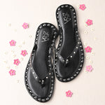 Aisle Black studded Slip on